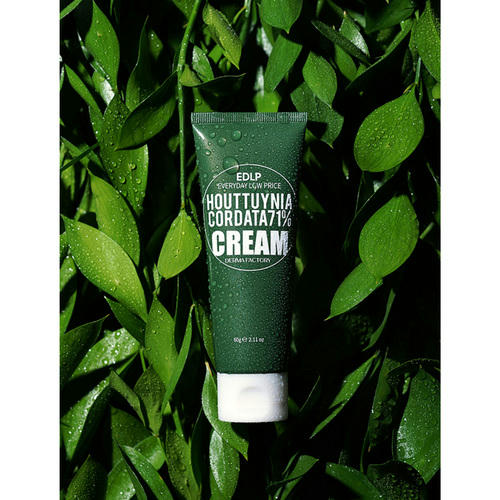 Derma Factory Крем увлажняющий для лица с экстрактом хауттюйнии - Houttuynia cordata 71% cream, 60г — изображение 3