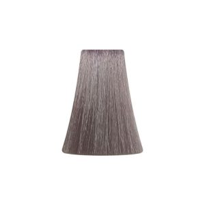 BB ONE, Перманентная крем-краска для волос Picasso Colour Range 8/221, 100 мл