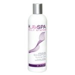 H.AIRSPA, Шампунь для волос на масле арганы Argan Oil Shampoo, 15 мл