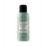 Alfaparf Style Stories Texturizing Dry Shampoo - Текстурирующий сухой шампунь 200 мл