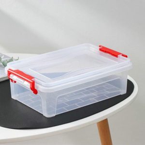 Контейнер для хранения с крышкой, 3,6 л, 31x20x9 см, цвет прозрачный
